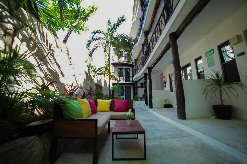 Siesta Fiesta - 5th Avenue Playa del Carmen